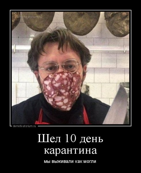 Приколы про карантин