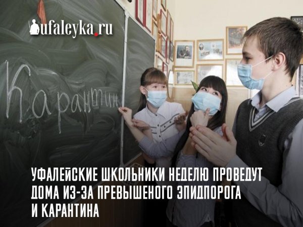 Приколы про карантин в школах