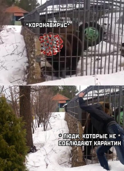 Первый день карантина приколы