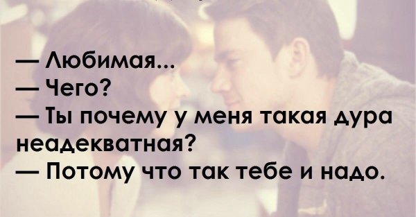 Смешные цитаты и высказывания