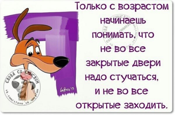 Прикольные фразы