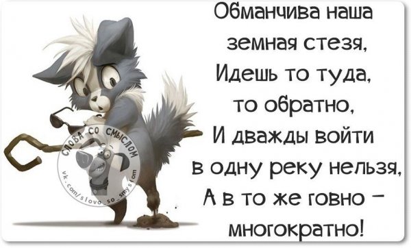 Веселые изречения в картинках