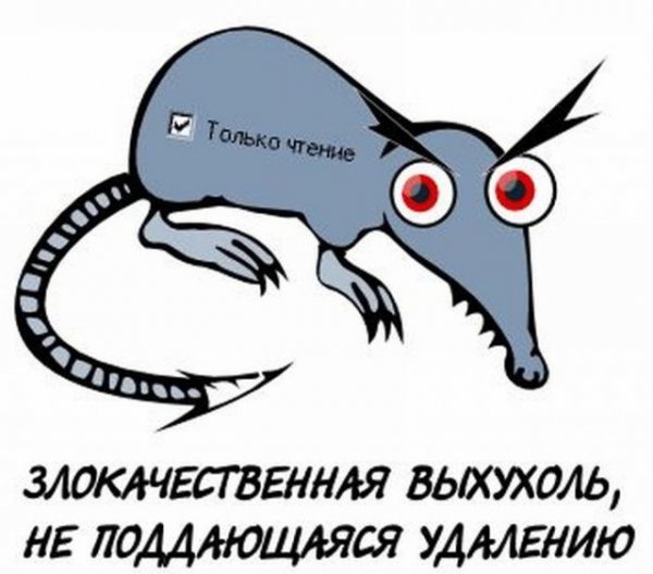 Злокачественная выхухоль
