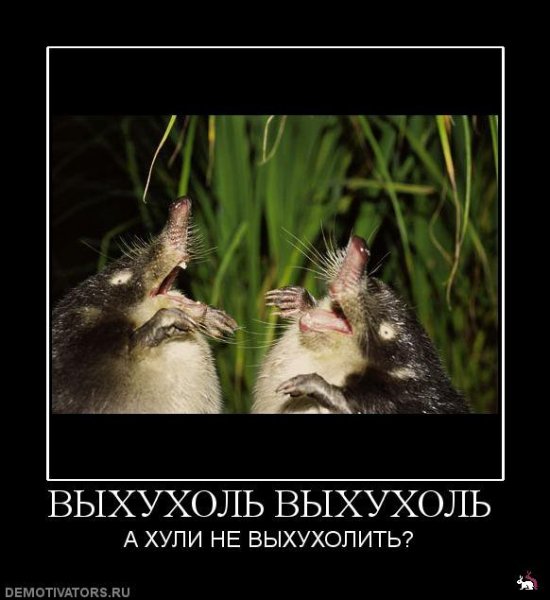 Выхухоль приколы