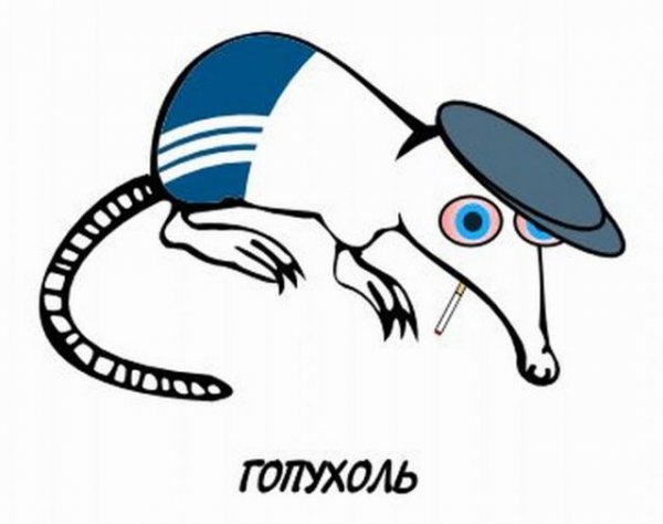 Выхухоль Мем