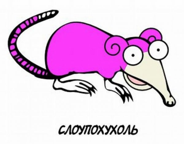 Выхухоль смешные картинки