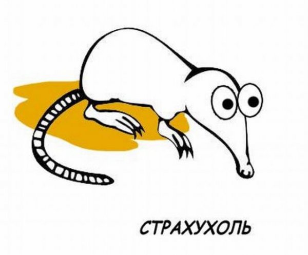 Выхухоль философ