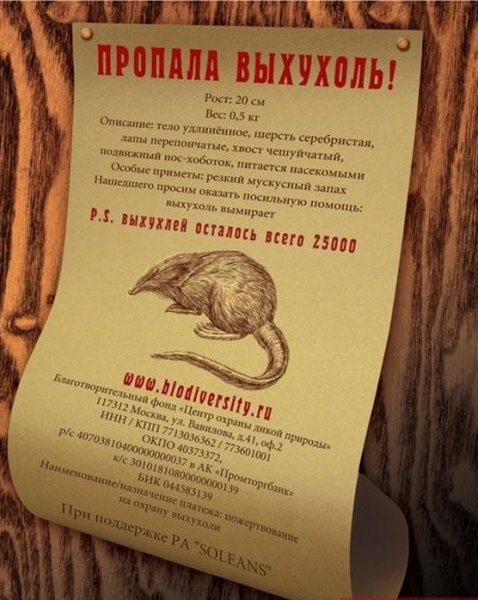 Выхухоль нахухоль похухоль