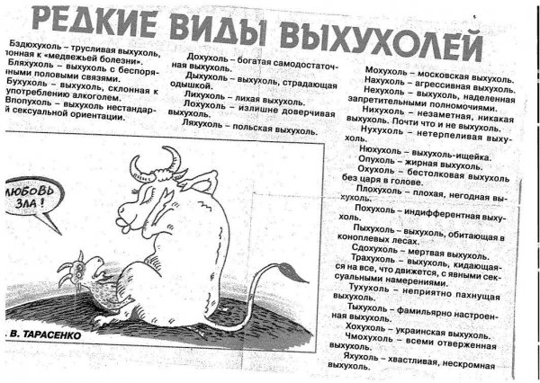 Похухоль и нахухоль