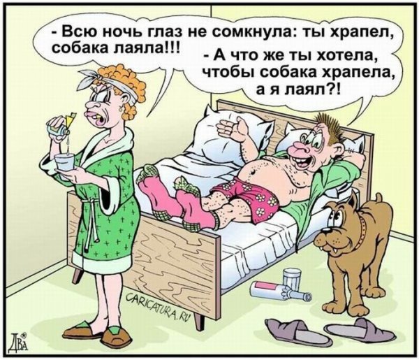 Смешные анекдоты