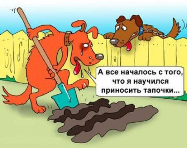 Анекдоты про собак смешные