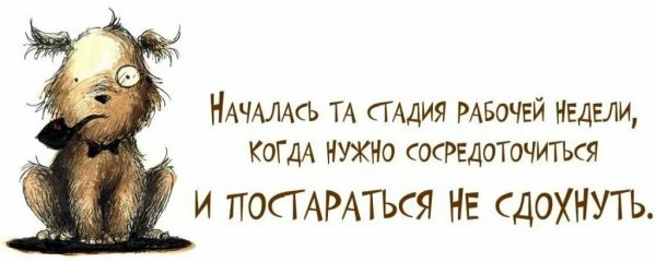Цитаты про усталость шуточные