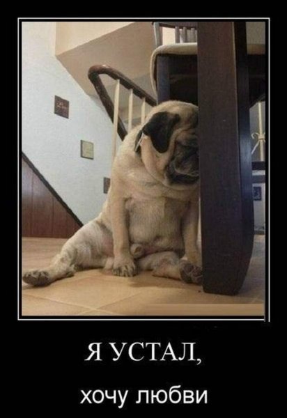 Я устал прикол