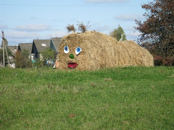 Прикольная деревня