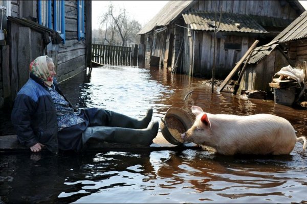 Половодье в деревне
