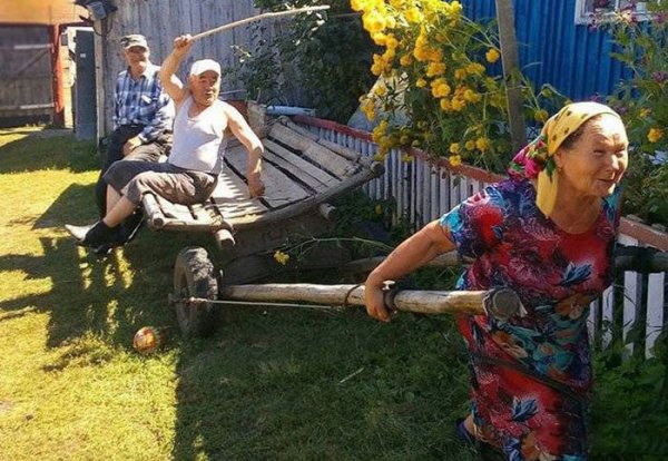 Прикольная жизнь в деревне