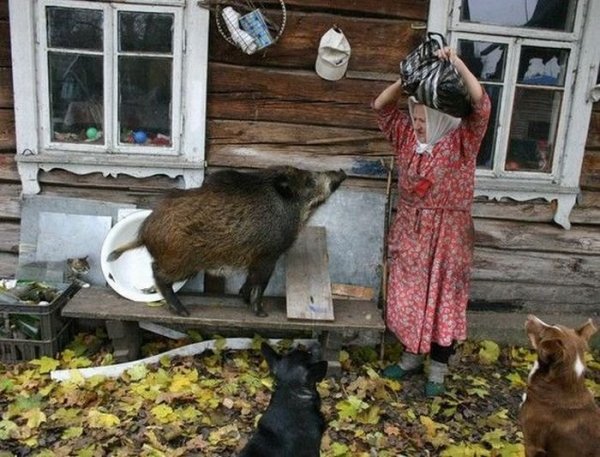 Прикольная жизнь в деревне