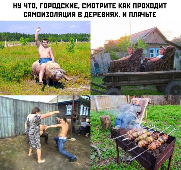 Приколы про деревню