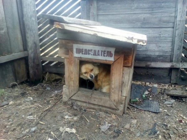 Деревенский юмор