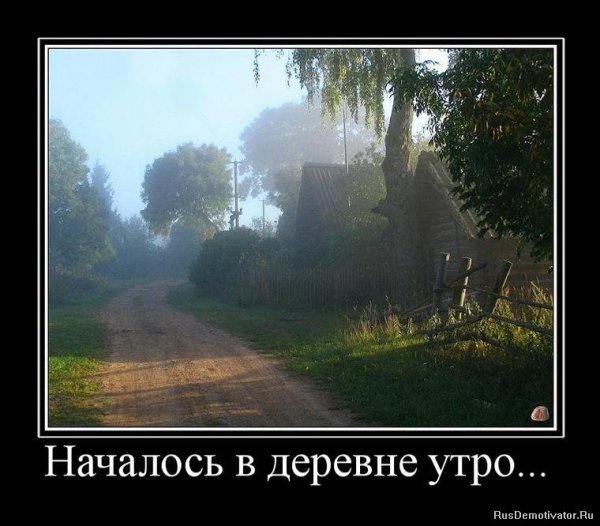 Доброе утро в деревне