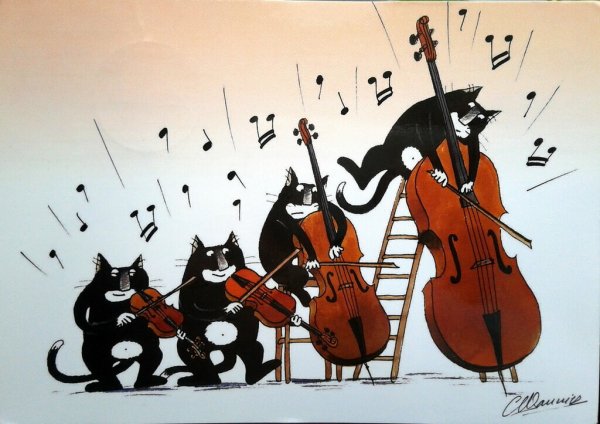 Кот оркестр