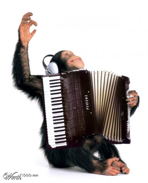Обезьяна с баяном