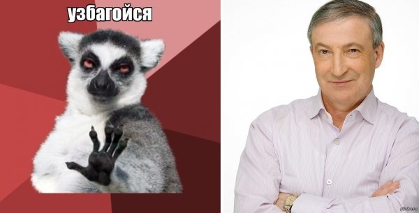 Лемур узбагойся Мем