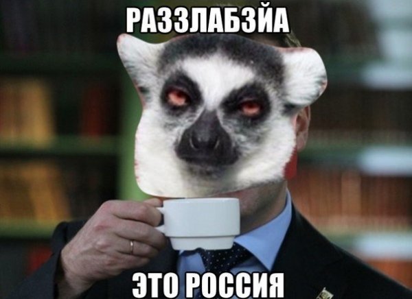 Лемур узбагоин