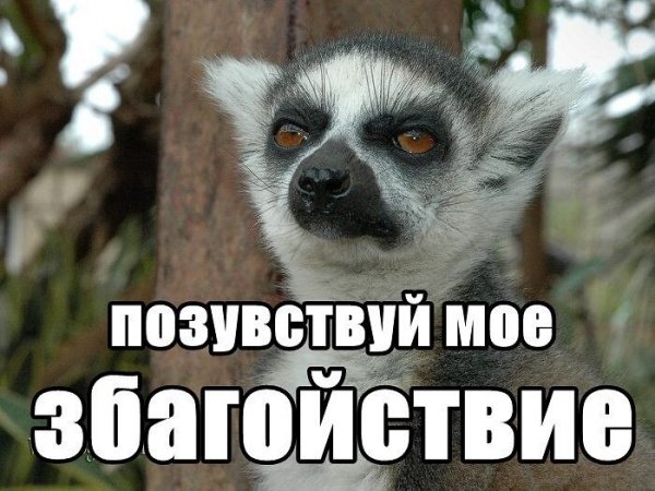 Збагойствие только збагойствие