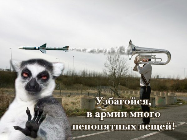 Лемур узбагойся с надписью