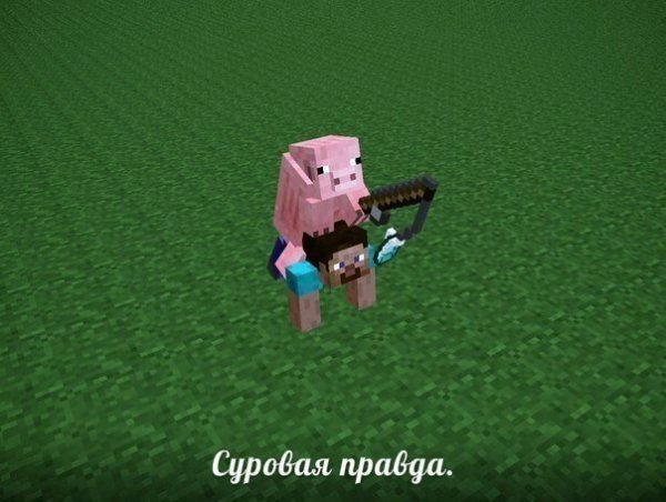 Прикольные картинки майнкрафт