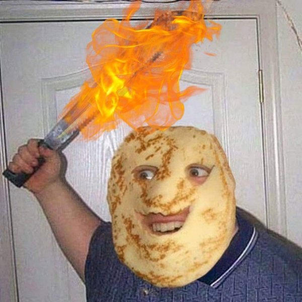 Конь за компьютером