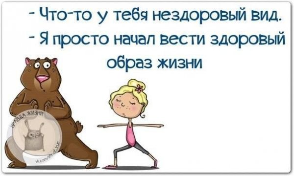 Цитаты про ЗОЖ смешные