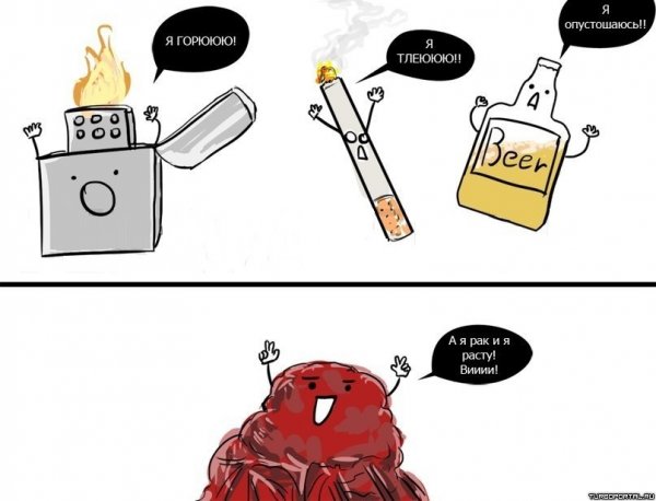 Мемы про здоровый образ жизни