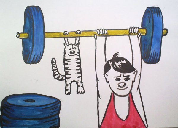 Рисунок на тему здоровый образ жизни