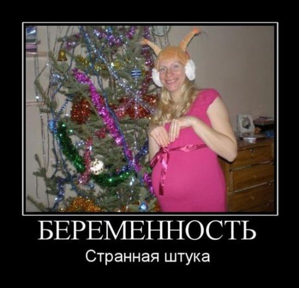 Смешные картинки про беременных