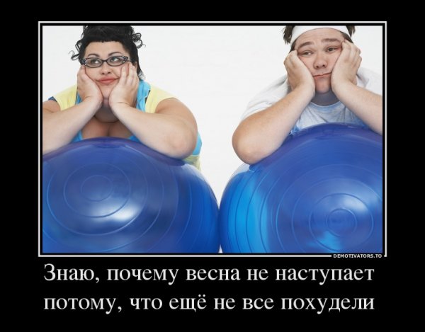Демотиваторы про похудение смешные