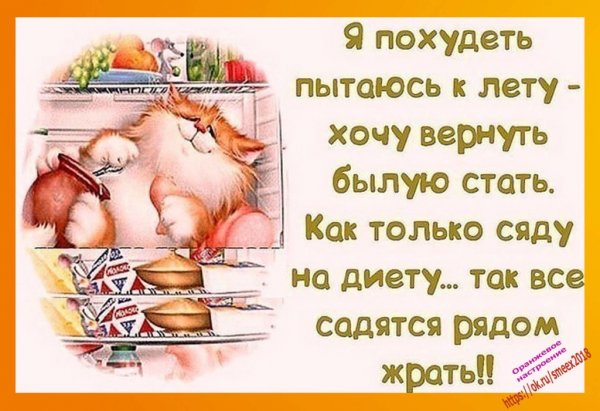Цитаты про диету прикольные