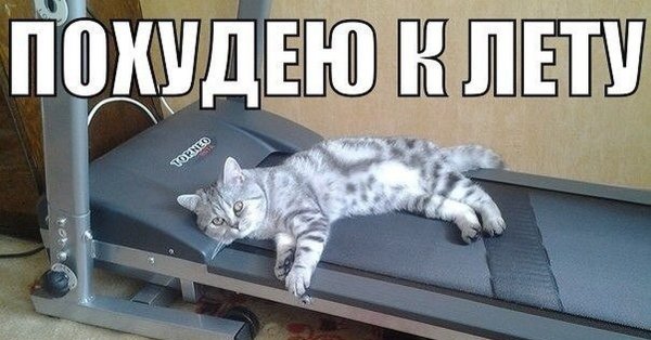 Шутки про похудение к лету
