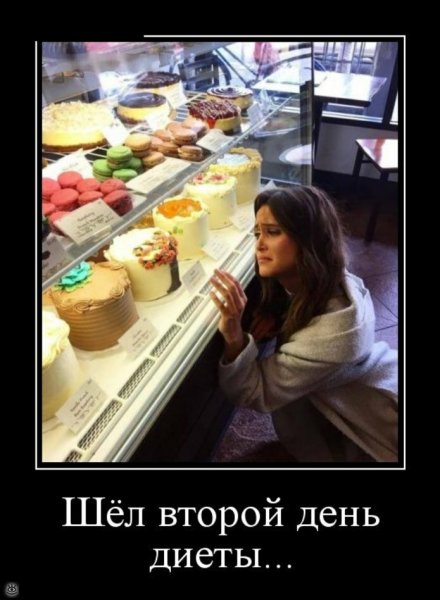 Прикольные шутки про диету