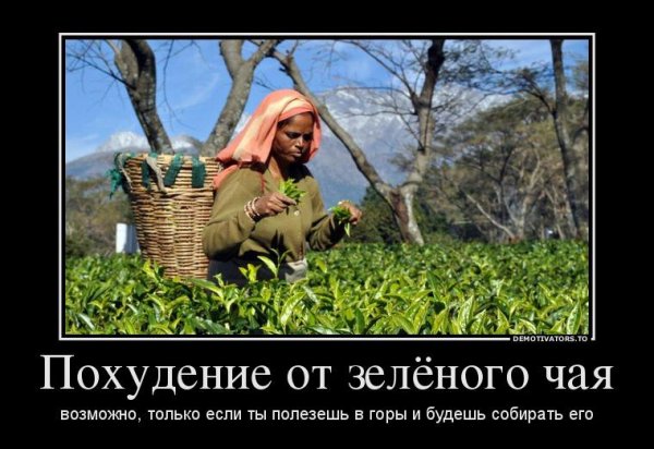 Демотиваторы про похудение смешные