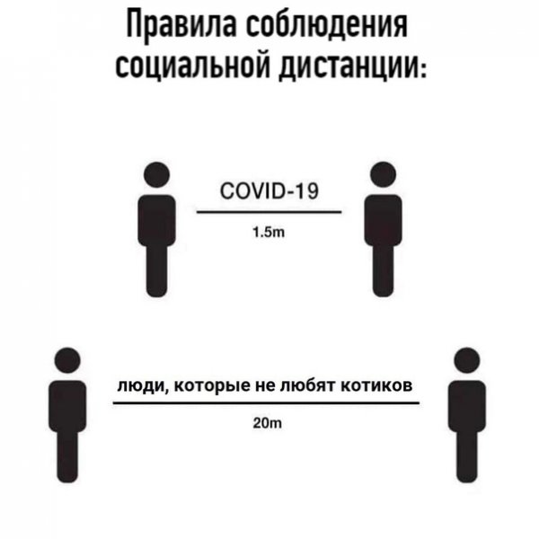 Шутки про социальную дистанцию