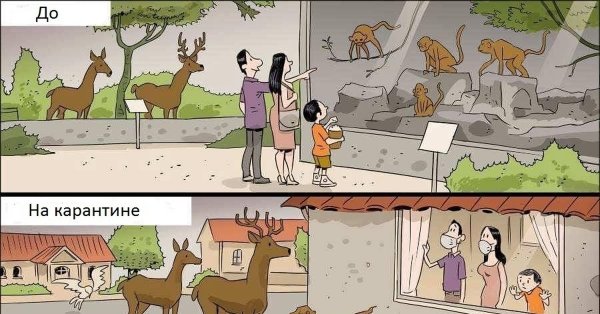 Комикс про карантин прикол