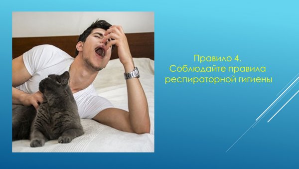 Ковид смешные фото картинки