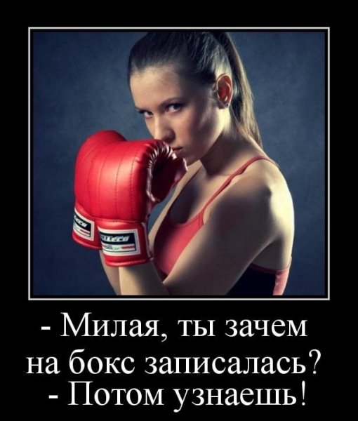 Шарлотта боксёрша