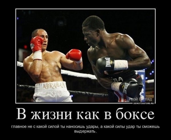 Бокс приколы