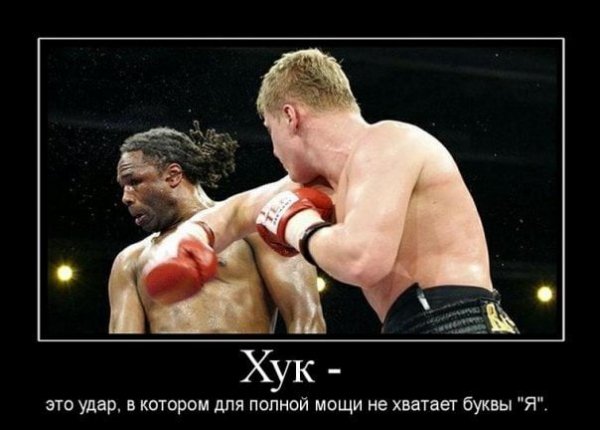 Приколы про боксеров