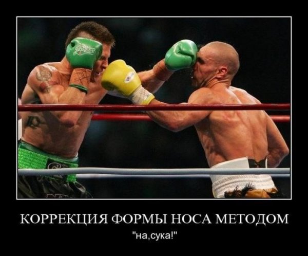 Шутки про бокс