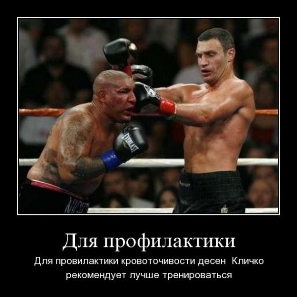Приколы про боксеров