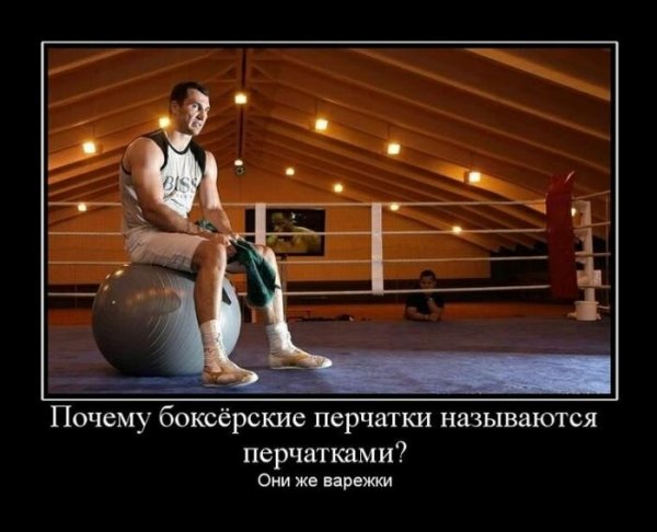 Шутки про бокс